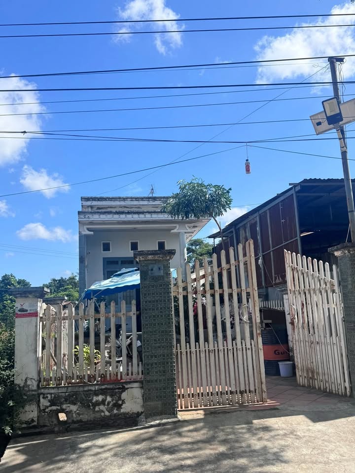 Đất thổ cư Huyện Cư Jút 250m² giá 1.35 tỷ - Cơ hội đầu tư tuyệt vời!