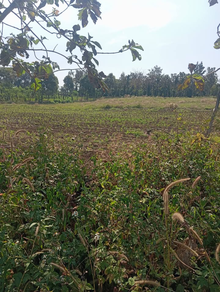 Đất thổ cư tại Thôn 16, Xã Nam Hà, Huyện Lâm Hà 4875m² giá 3.375 tỷ - Đầu tư sinh lời ngay!