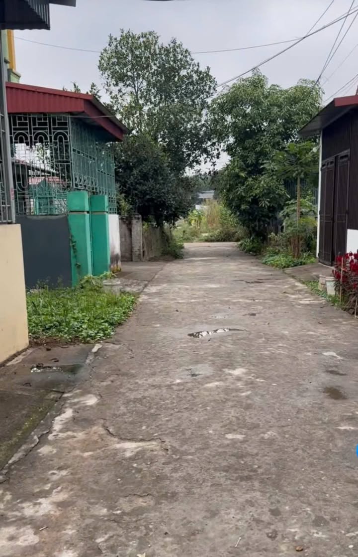 Đất nền Phường Âu Cơ, Thị xã Phú Thọ 100m² - Sổ hồng chính chủ, giá tốt!