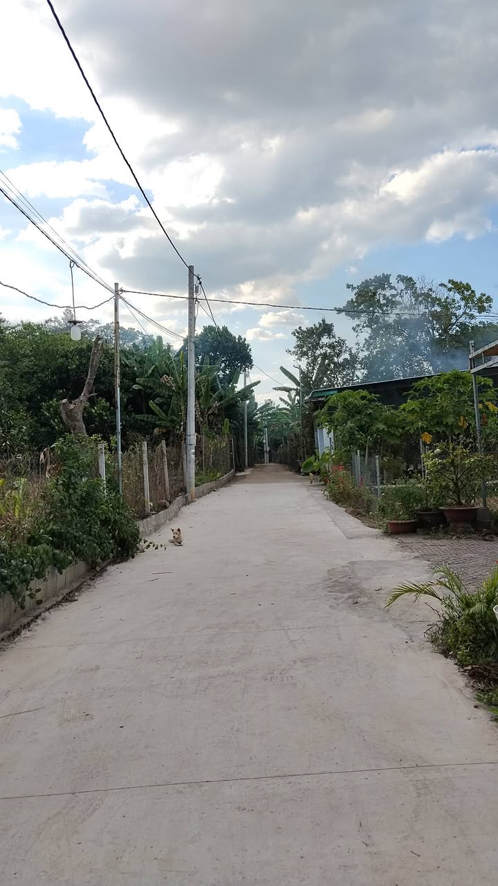 Nhà mặt tiền 5m tại Phường Bảo Vinh, 160m² - Sổ hồng chính chủ, công chứng trong ngày!