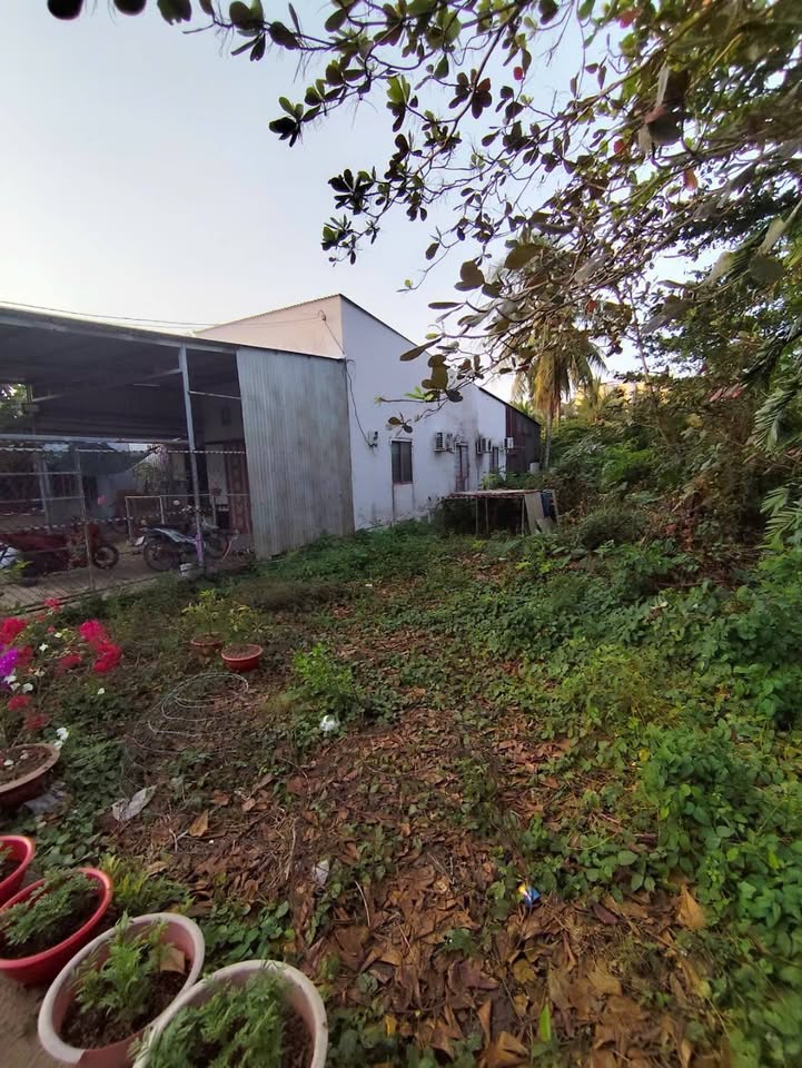 Đất nền Khóm Trà Kha, Bạc Liêu 575m² giá 1.6 tỷ - Hướng Nam, thích hợp xây nhà trọ!