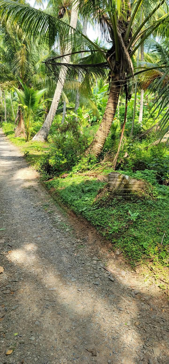 Đất bán mặt tiền Quốc lộ 57B, 6219m² giá 700 triệu - Thương lượng tốt!