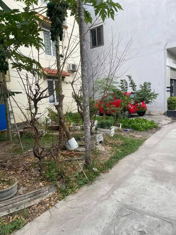 Đất thổ cư Thủy Sơn Hải Phòng 51.5m² giá 1.7 tỷ - Cơ hội đầu tư hấp dẫn!