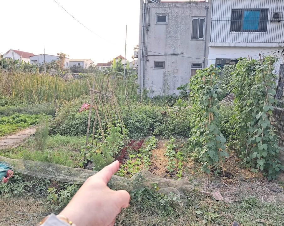 Đất đấu giá Trung Thành, Hưng Đông 67.5m² giá 2.8 tỷ - Mặt tiền đẹp, vị trí đắc địa!