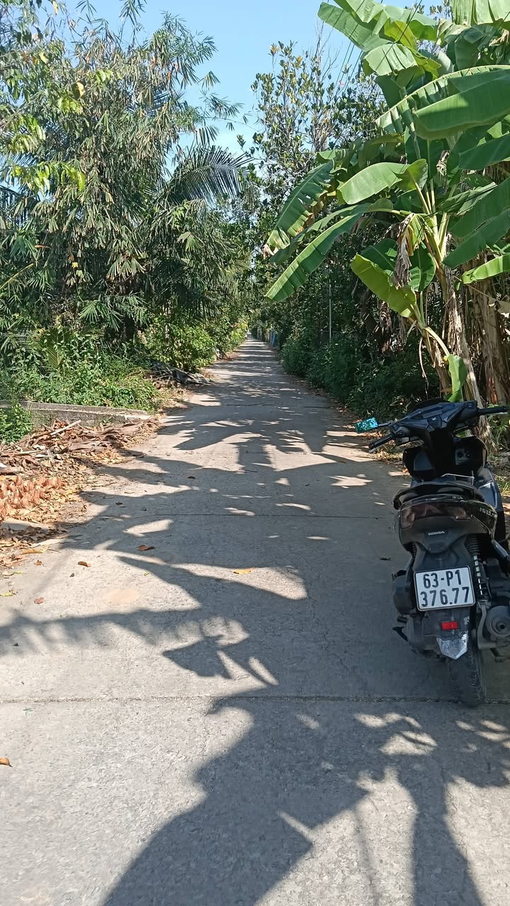 Đất nền đường Huỳnh Văn Chính, Phường 2, Thị xã Cai Lậy 1026m² giá 1.3 tỷ - Đầu tư sinh lời cao!