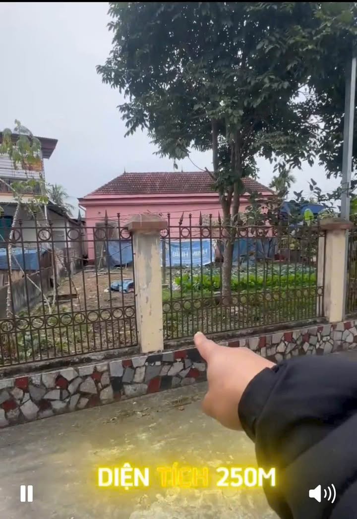 Đất nền lô góc Linh Sơn, Thái Nguyên 250m² - Đầu tư sinh lời cao!