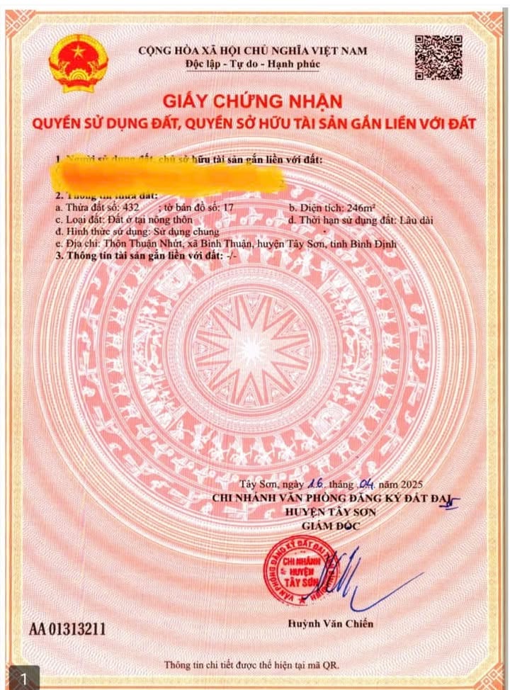 Đất thổ cư tại Thôn Thuận Nhứt, Xã Bình Hiệp 246m² - Đầu tư sinh lời ngay!