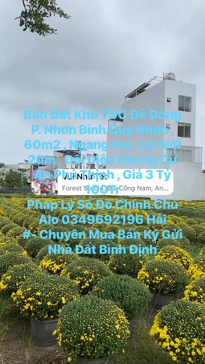 Đất nền chính chủ tại Phường Nhơn Bình, Quy Nhơn 60m² giá 3.1 tỷ - Đầu tư sinh lời ngay!