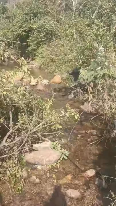 Đất nền Xóm Riêng, Xã Đà Bắc 1500m² giá 1 tỷ - Đầu tư lý tưởng!