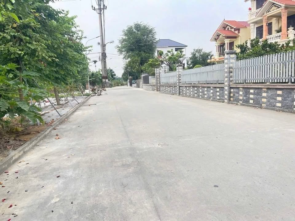 Đất Phương Chử Đông, An Lão, 119m² - Chính chủ bán gấp, giá tốt!