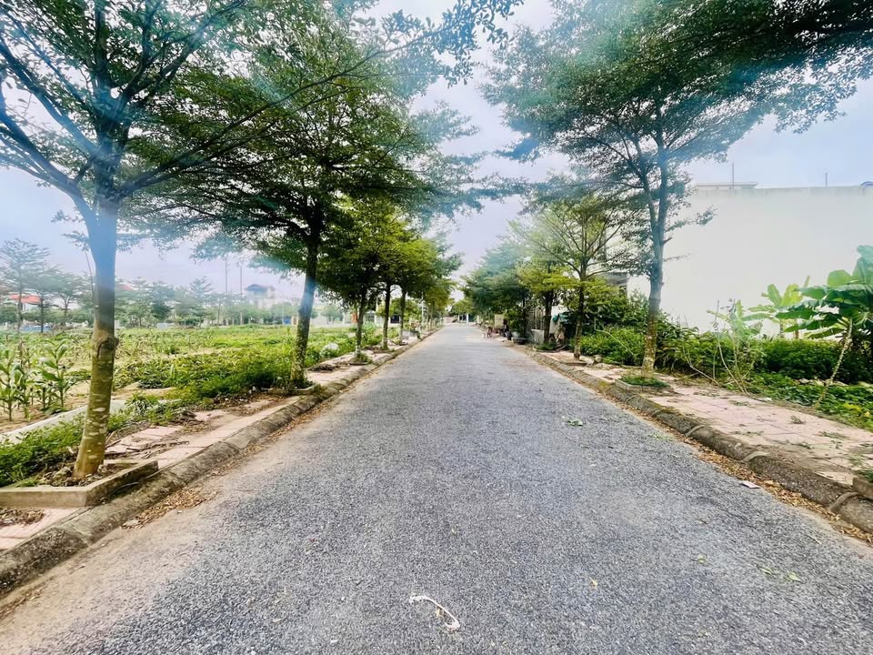 Đất nền Khu tái định cư Tây Ninh 108m² giá 1.2 tỷ - Đầu tư sinh lời ngay!