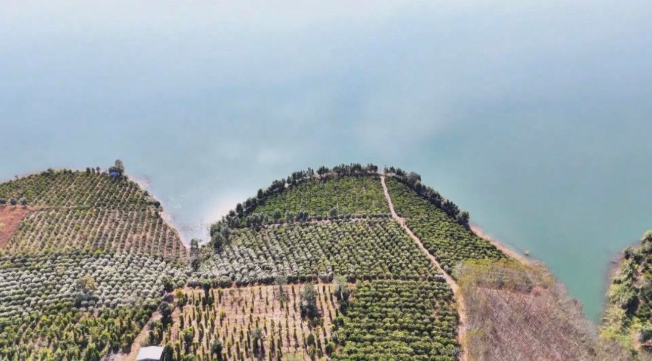 Đất nền 5 sào Tịnh Bình, Sơn Tịnh, Quảng Ngãi - Sổ hồng chính chủ, giá 1,5 tỷ!