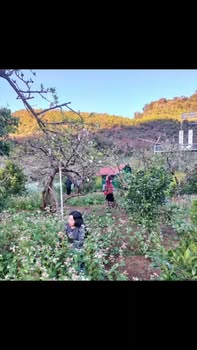 Đất nền Giang Biên, Long Biên 65m² giá tốt - Cơ hội đầu tư hiếm có!