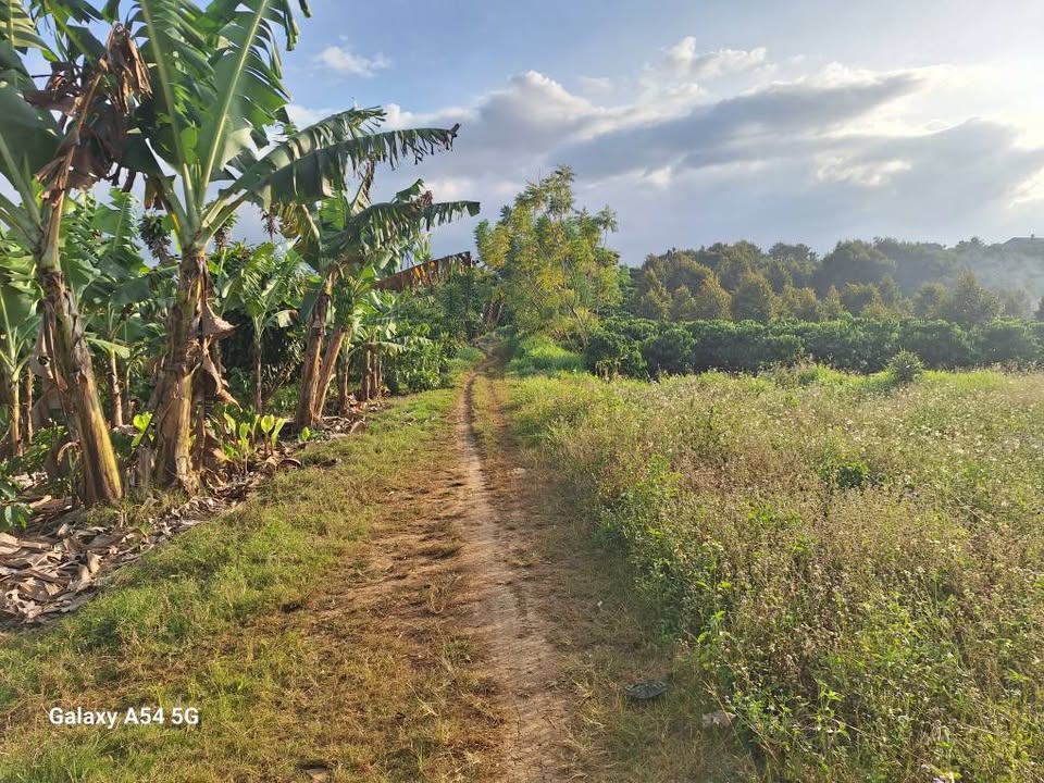 Đất Farm Xà Hoa, Huyện Di Linh 936m² giá 1.4 tỷ - Cơ hội đầu tư tuyệt vời!