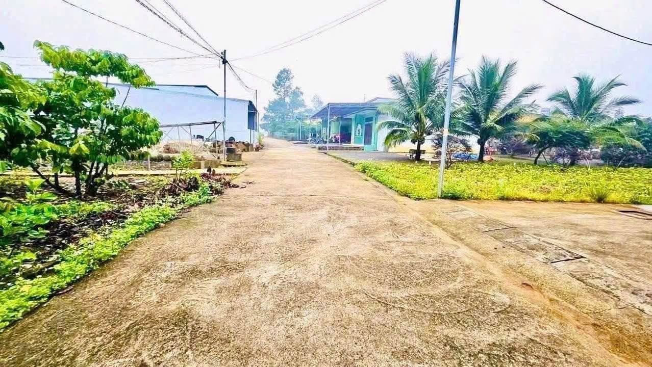 Đất thổ cư P3 Bảo Lộc 80m² giá 1 tỷ - Sổ hồng chính chủ, bán gấp!