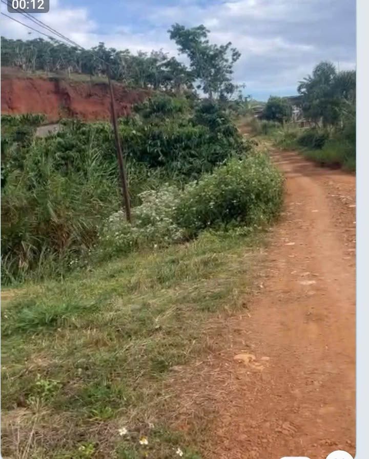 Đất nền Tiền Yên, Lộc Đức 1443m² giá 850 triệu - Cơ hội đầu tư hấp dẫn!