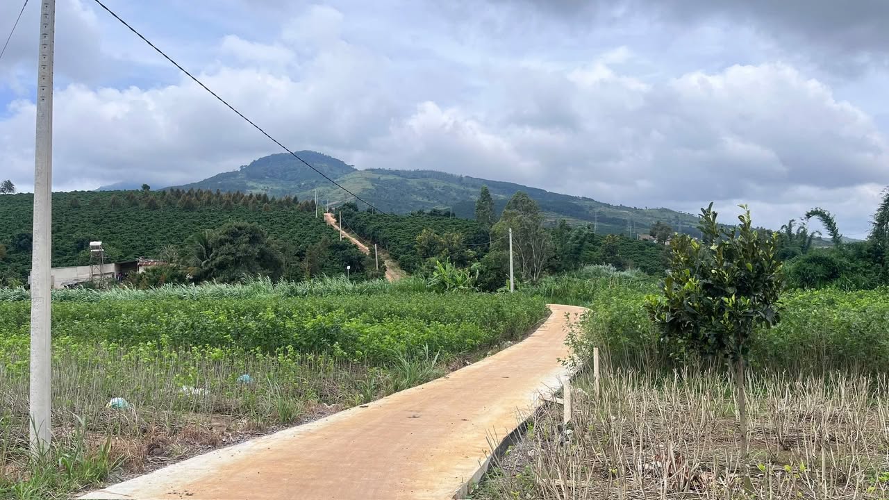 Đất nông nghiệp 2600m² tại Xã Gia Hiệp, Huyện Di Linh, giá chỉ 2.2 tỷ - Đầu tư tiềm năng ngay gần khu dân cư!