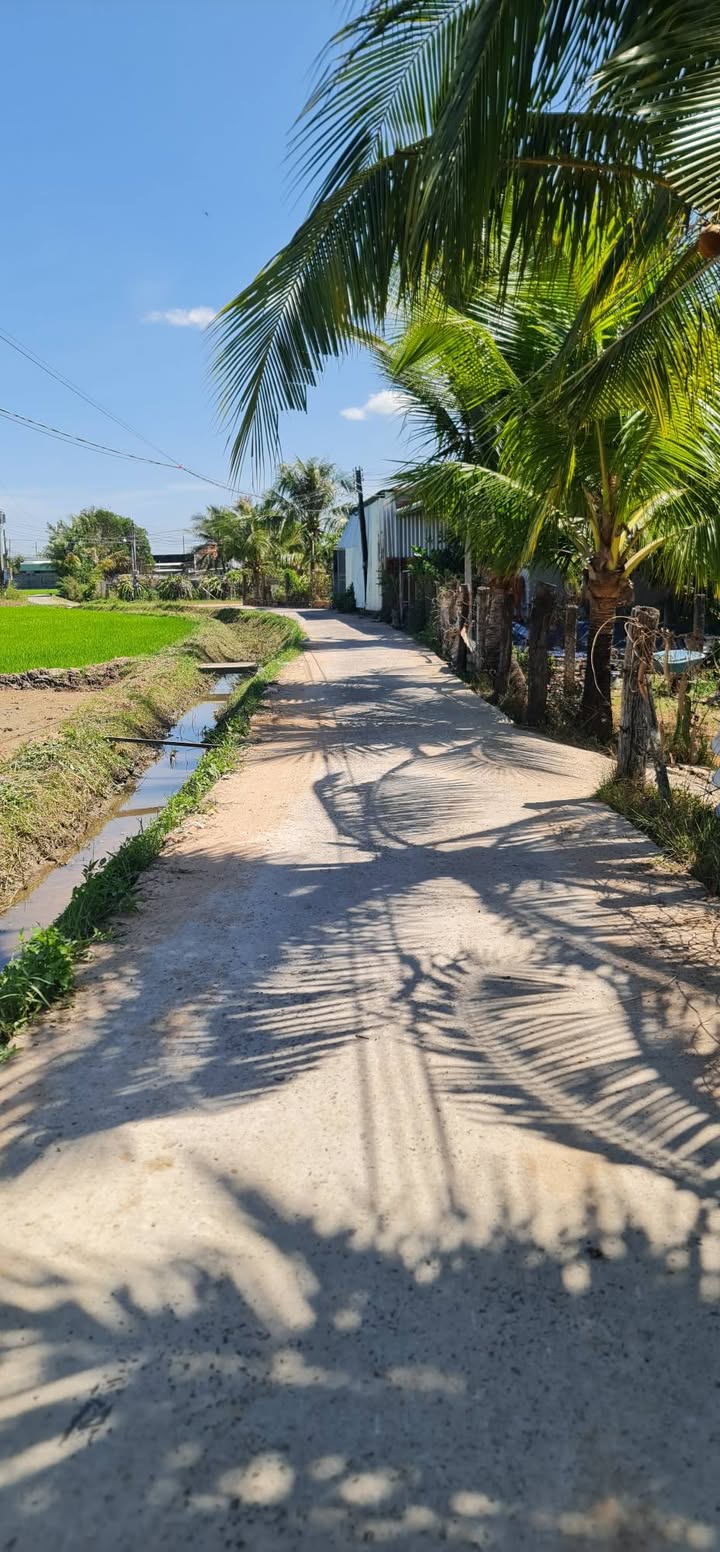 Đất thổ cư Xã Hàm Liêm 108m² giá 650 triệu - Hỗ trợ thương lượng!