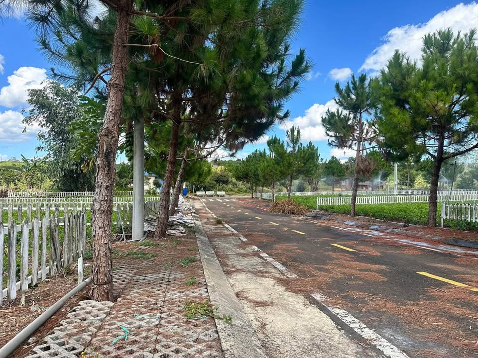 Đất nền Phường 2 Bảo Lộc 200m² giá 900 triệu - Cơ hội đầu tư hấp dẫn!