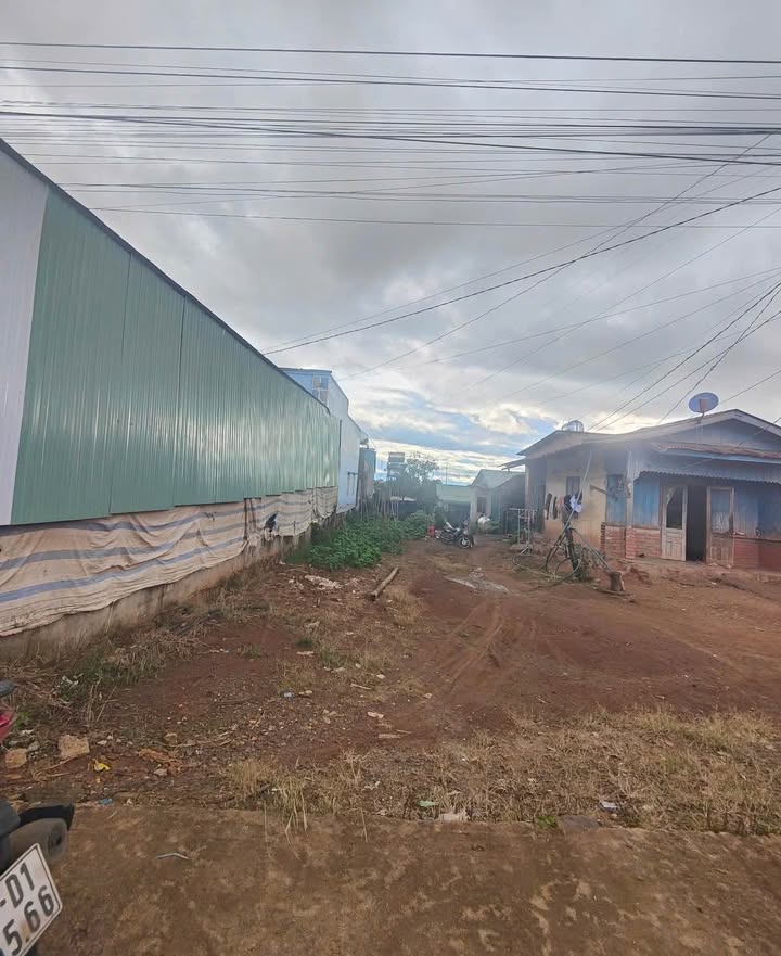 Đất thổ cư Phú Hội, Đức Trọng 217m² giá 1.35 tỷ - Thế đất cao ráo, thoáng mát