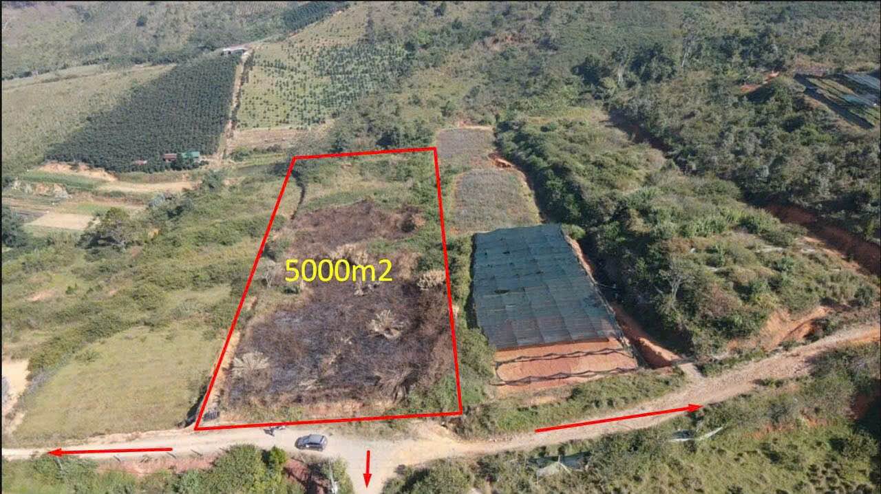 Đất nền Đạ Sar, Lạc Dương 5000m² giá 2.7 tỷ - Đầu tư sinh lời ngay!