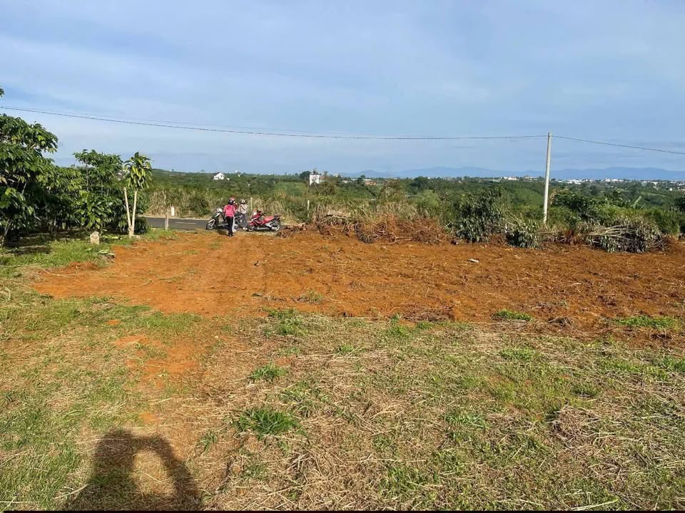 Đất mặt tiền Nguyễn Trãi, Phường 2, Bảo Lộc 478m² giá 3.2 tỷ - Đầu tư sinh lời ngay!