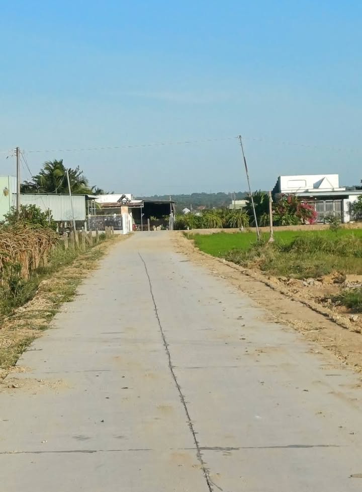 Đất thổ cư tại thị trấn Ma Lâm, 900m² giá chỉ 450 triệu - Cơ hội đầu tư hấp dẫn!