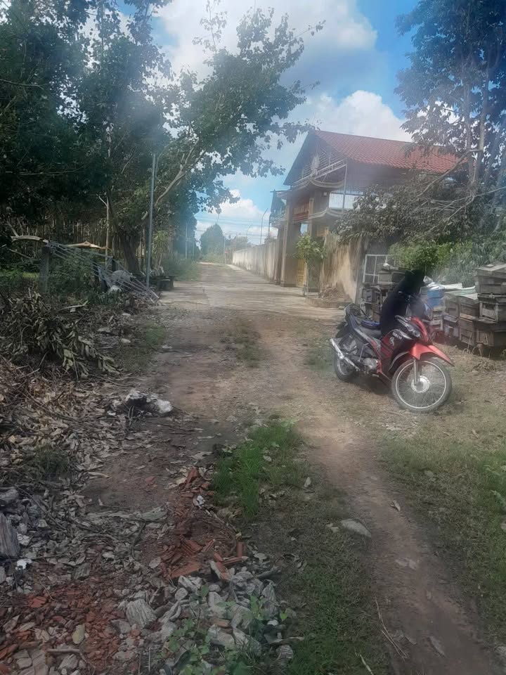 Đất thổ cư Thôn Gia Hội, Xã Đăk Năng 125,4m² giá 160 triệu - Sổ hồng chính chủ!