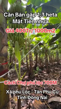 Đất nền Phú Lộc - Tân Phú 13.000m² giá 5.2 tỷ - Cơ hội đầu tư tuyệt vời!