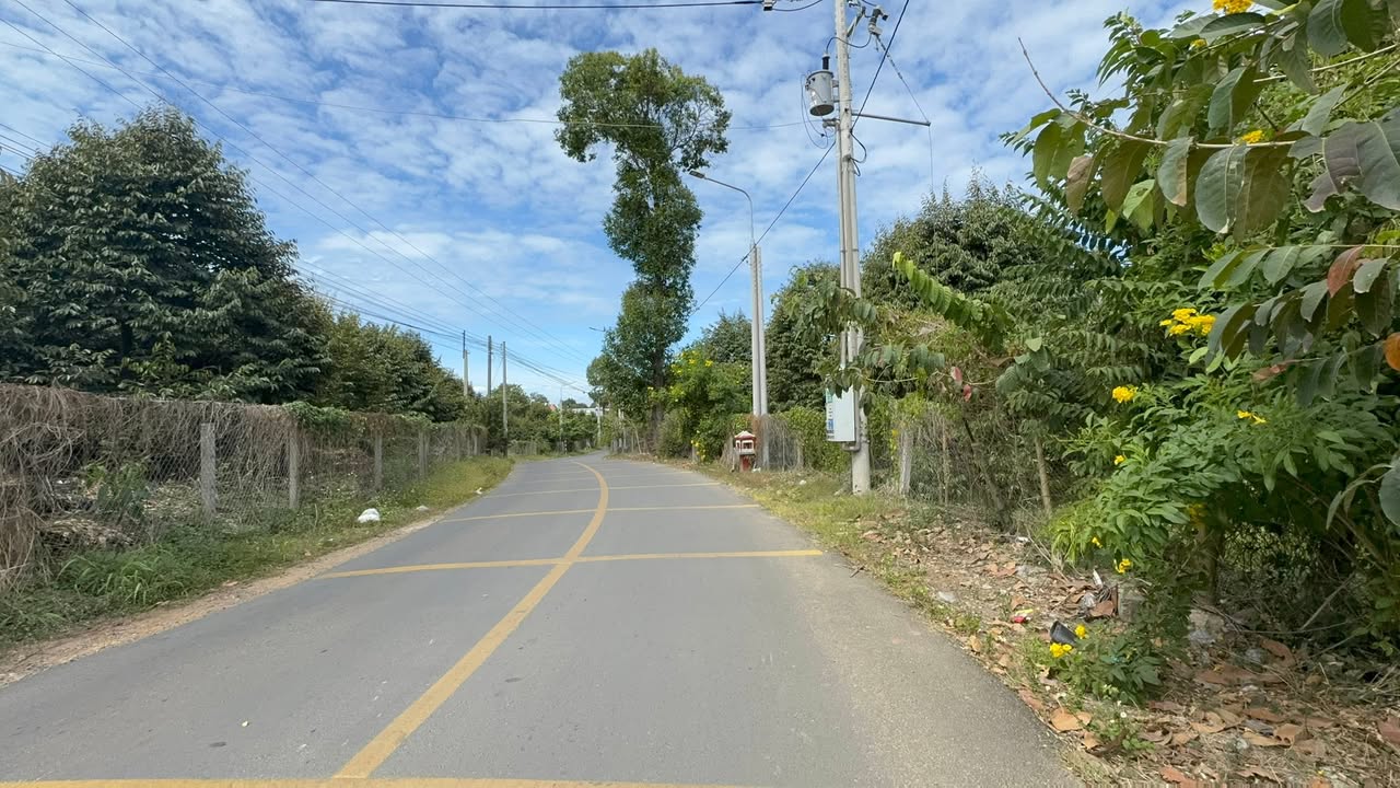 Đất Farm 1,3ha Mặt Tiền Nhựa Phú Lộc - Tân Phú chỉ 5,2 tỷ - Cơ hội đầu tư hấp dẫn!