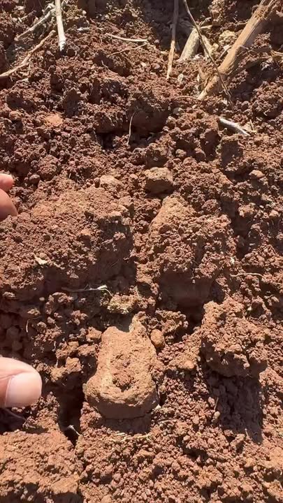 Đất nông nghiệp cho thuê tại Định Quán, Đồng Nai 4,3 hecta - Giá chỉ 236.5 triệu/năm!