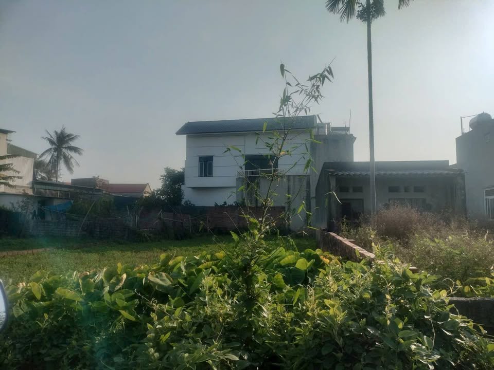 Đất nền Phường Quảng Cư Sầm Sơn 561m² giá 2 tỷ - Cơ hội đầu tư tuyệt vời!