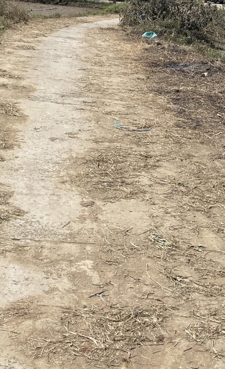 Đất thổ cư 300m² tại Xã Hàm Trí, Huyện Hàm Thuận Bắc giá 380 triệu - Cơ hội đầu tư tuyệt vời!