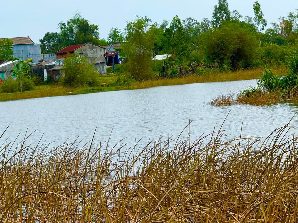 Đất trồng cây tại Bình Tú, Thăng Bình 755m² giá 180 triệu - Sẵn sàng chốt nhanh!