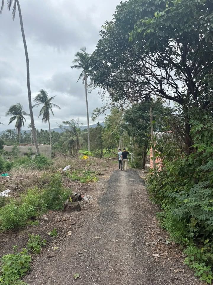 Đất thổ cư Thọ Lộc, Sông Cầu 200m² giá 349 triệu - Cơ hội đầu tư tuyệt vời!