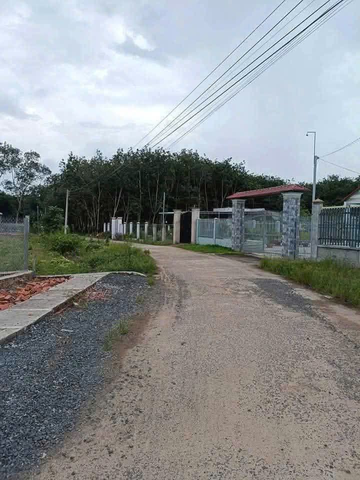 Đất nền khu 3 Lá Xanh Tân Hiệp 300m² giá 430 triệu - Đường thông thoáng, dân cư đông đúc!