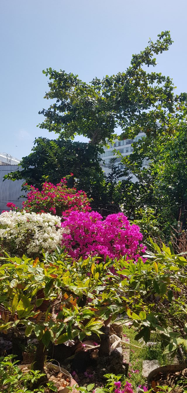 Đất nền khu nhà vườn tại Long Xuyên 379m² - Tiềm năng kinh doanh lớn!