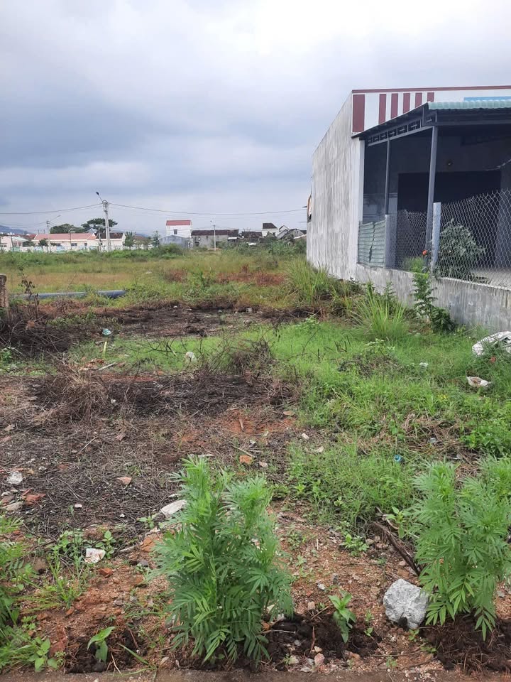 Đất nền khu dân cư Chợ Nhơn Tân 147m² giá 800 triệu - Đầu tư tiềm năng!