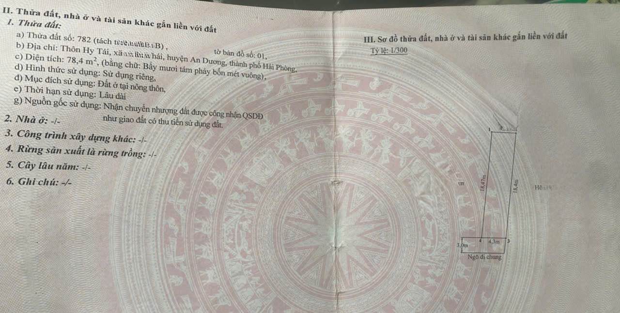 Đất nền Phường Hoàng Văn Thụ 78m² giá 1 tỷ - Đường ô tô vào tận nơi!