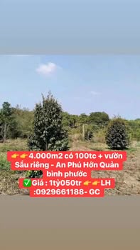 Farm 4.000m² tại An Phú, Hớn Quản, Bình Phước giá 1.05 tỷ - Đầu tư sinh lời tuyệt vời!