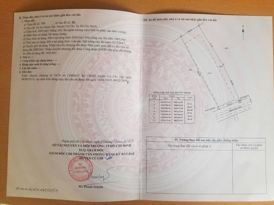 Đất thổ cư 2000m² mặt tiền đường lớn Hóc Môn - Đầu tư sinh lời ngay!