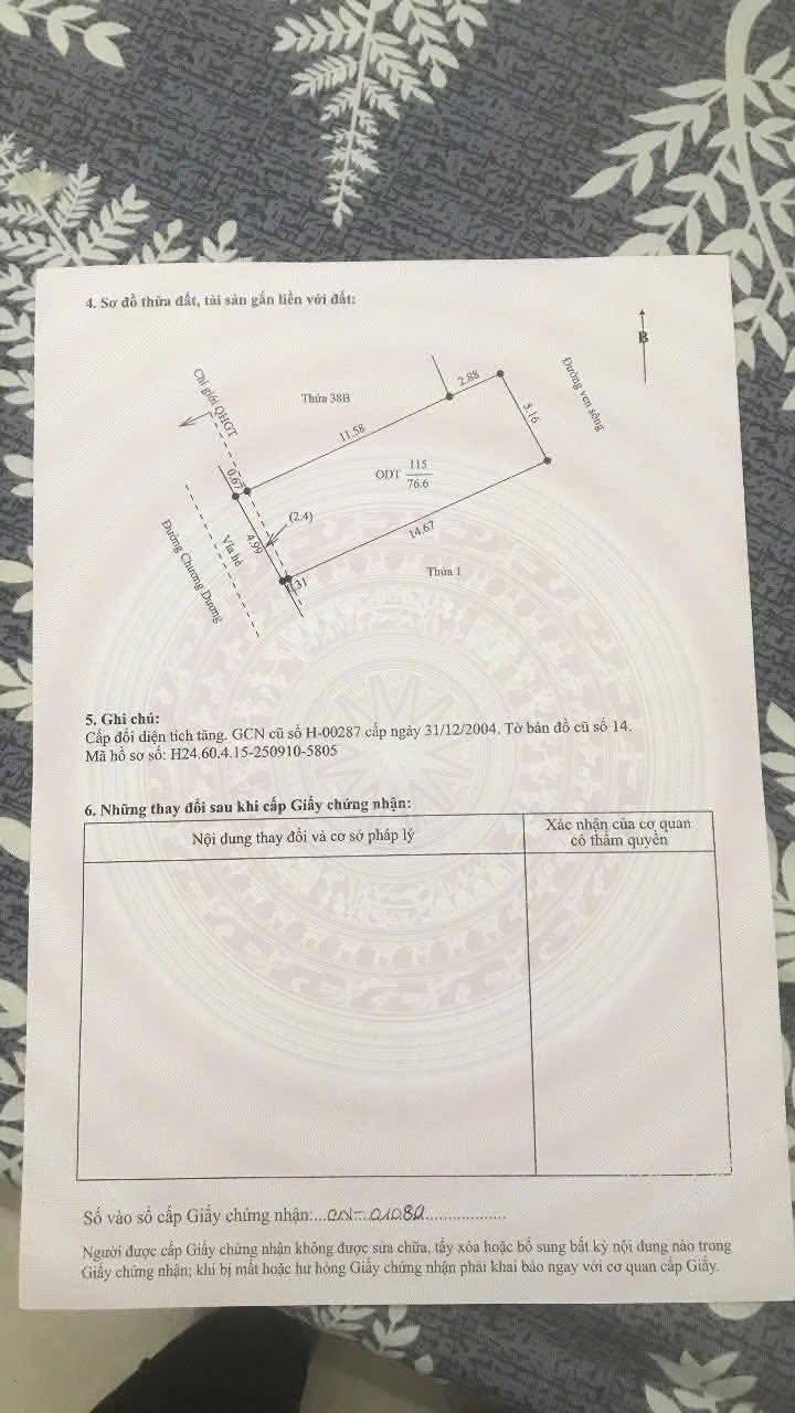 Bán gấp lô đất mặt phố Chương Dương, Hải Dương 76.6m² - Kinh doanh đắc địa!