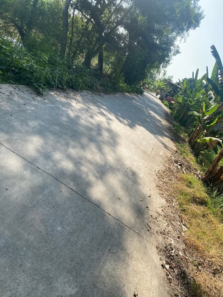 Đất nền 2000m² tại Xã Tân Thạnh, Huyện Thới Lai - Đầu tư lý tưởng cho nghỉ dưỡng!