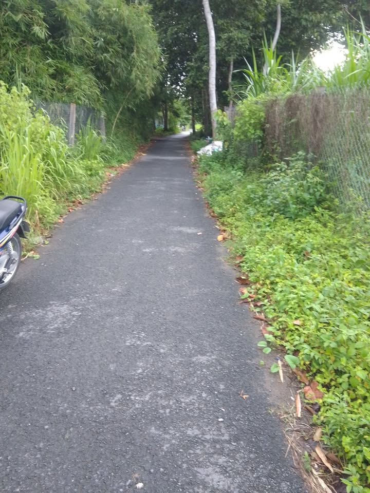 Đất nền chính chủ 190m² tại Phường Phú Tân - Giá chỉ 230 triệu