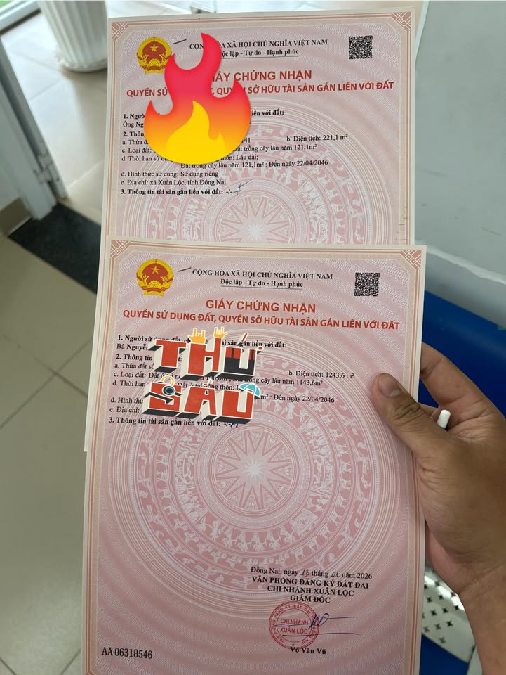 Đất nền Phường Tân Hạnh, Biên Hòa 270m² giá 520 triệu - Đầu tư sinh lời ngay!