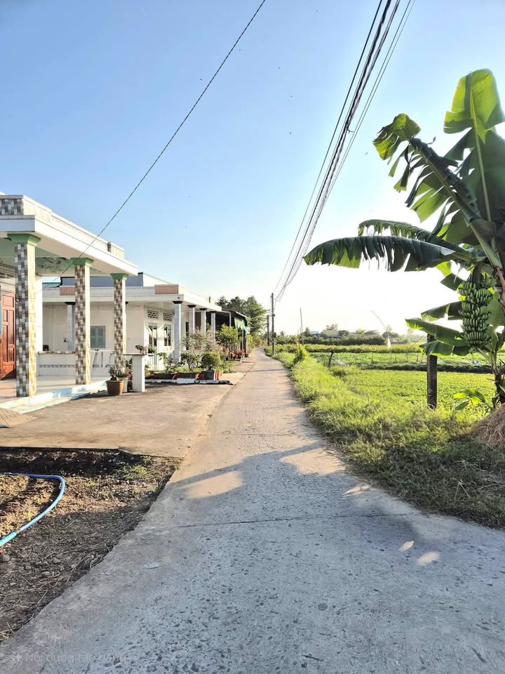 Đất thổ cư 300m² giá chỉ 2.3 tỷ - Cơ hội đầu tư tại Gò Công!