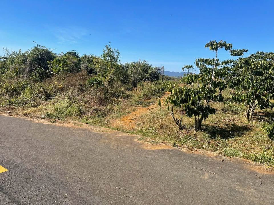 FrontHouse mặt tiền Nguyễn Trãi Bảo Lộc 513m² giá 3.2 tỷ - Đầu tư sinh lời hấp dẫn!