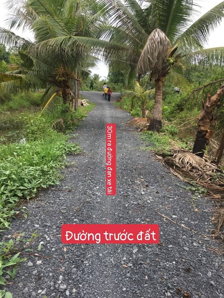 Đất vườn Bến Lức Long An 2000m² giá chỉ 3 tỷ - Sổ hồng riêng!