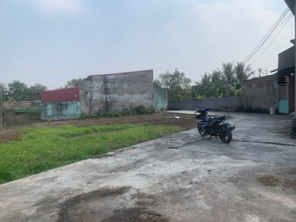 Đất nền Tân Hưng Hải Dương 48.8m² giá 650 triệu - Đường ô tô vào tận nơi!