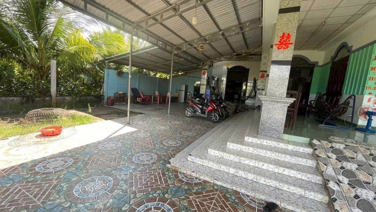 Đất vườn 3000m² tại Thị trấn Chợ Lách, Bến Tre - Giá chỉ 800 triệu, thương lượng tốt!